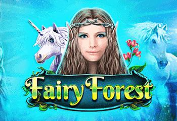 Fairy Forest